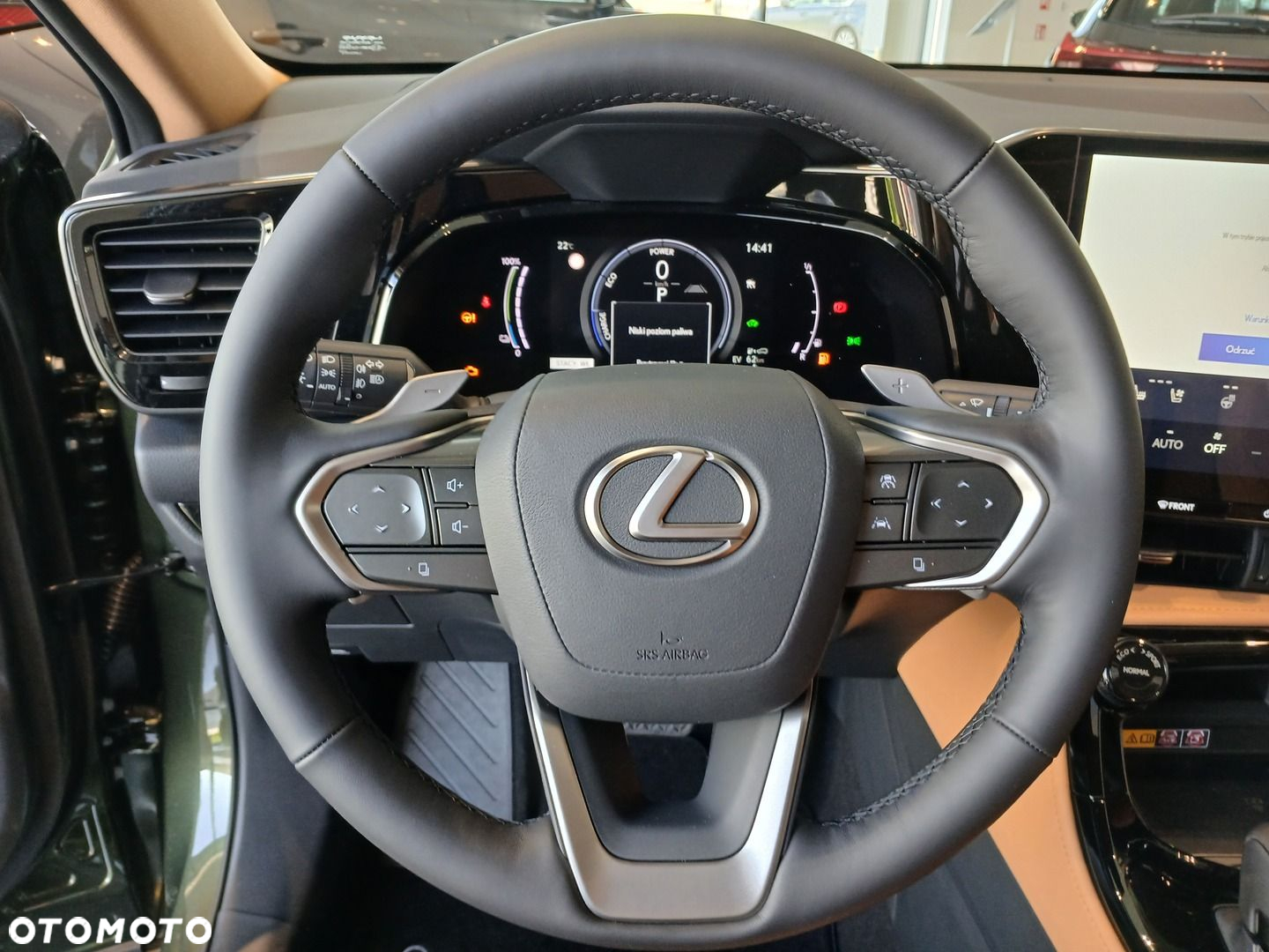 Lexus NX - 10