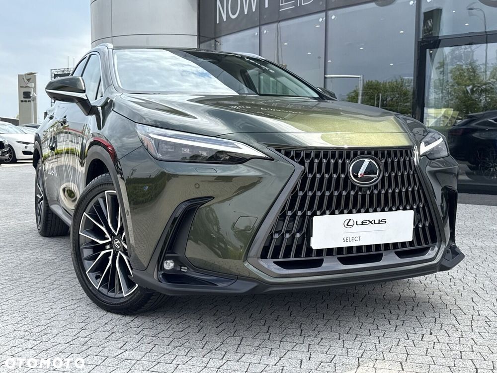 Lexus NX - 25
