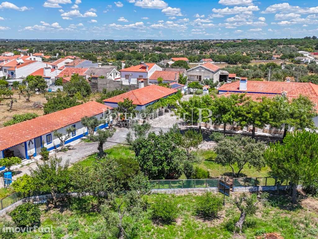 Quinta de 5.000m2 com moradia T6 - AL - Grande imagem: 4/60