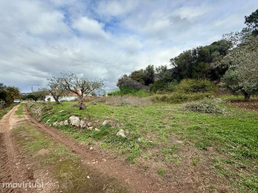 Terreno plano com 1.470m2 - Grande imagem: 4/5
