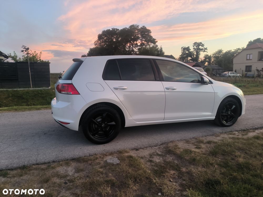 Volkswagen Golf 1.6 TDI BlueMotion Technology DSG Allstar - 10