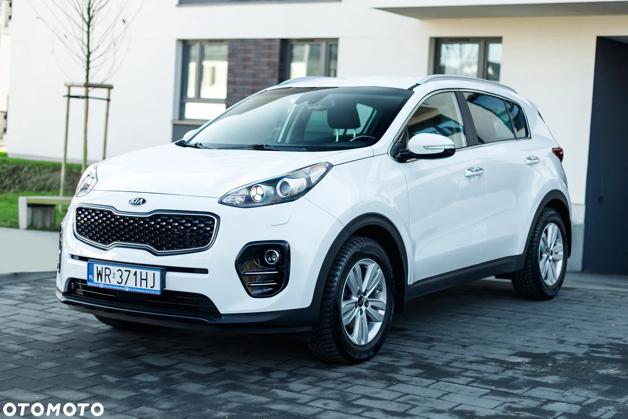 Kia Sportage - 1