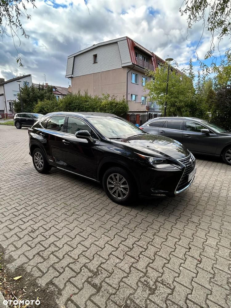 Lexus NX - 6