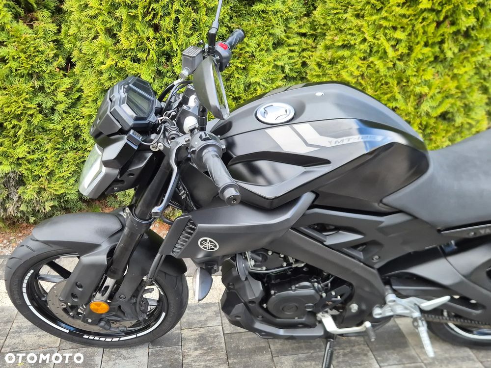 Yamaha MT - 17