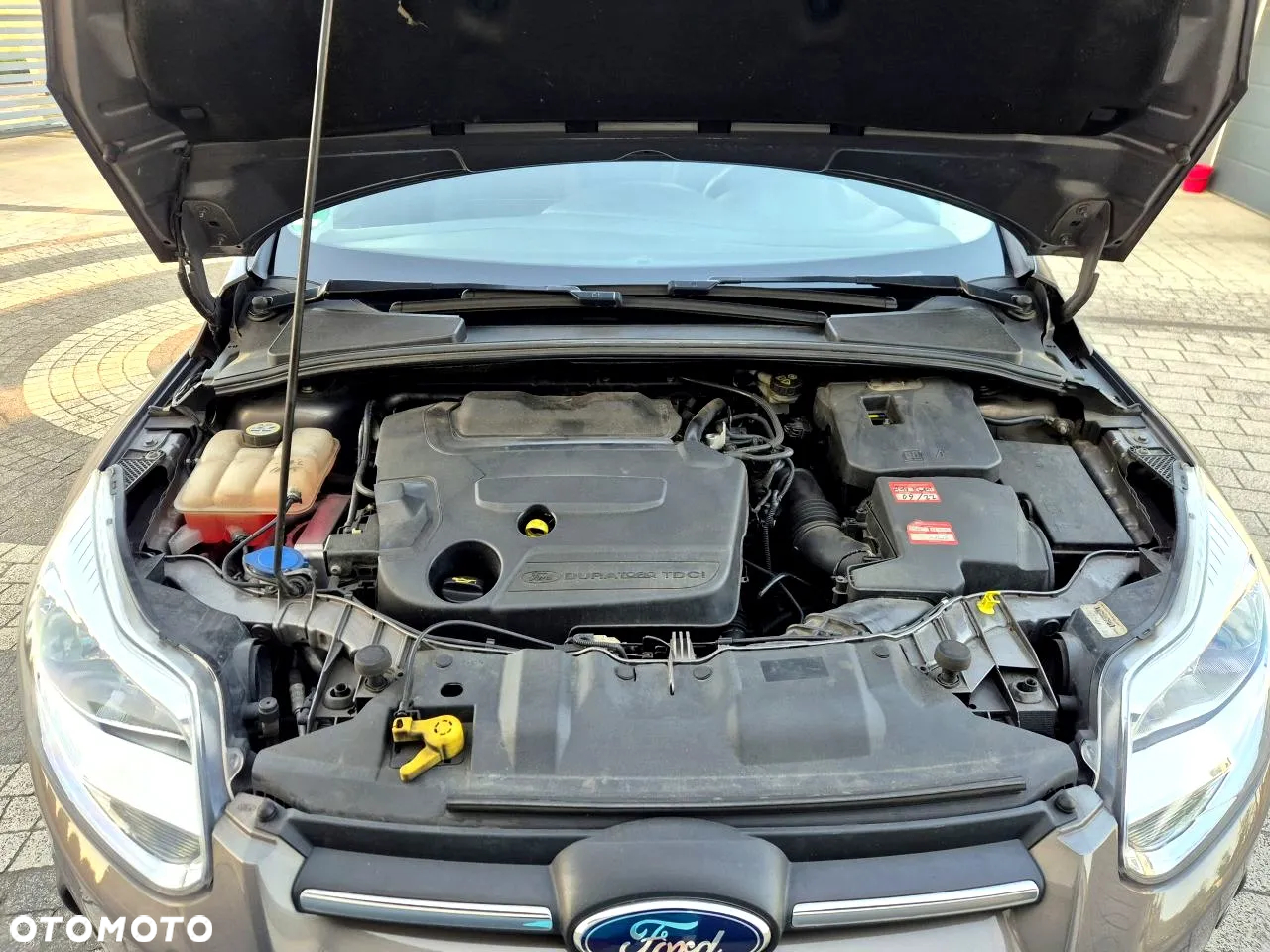 Ford Focus - 30