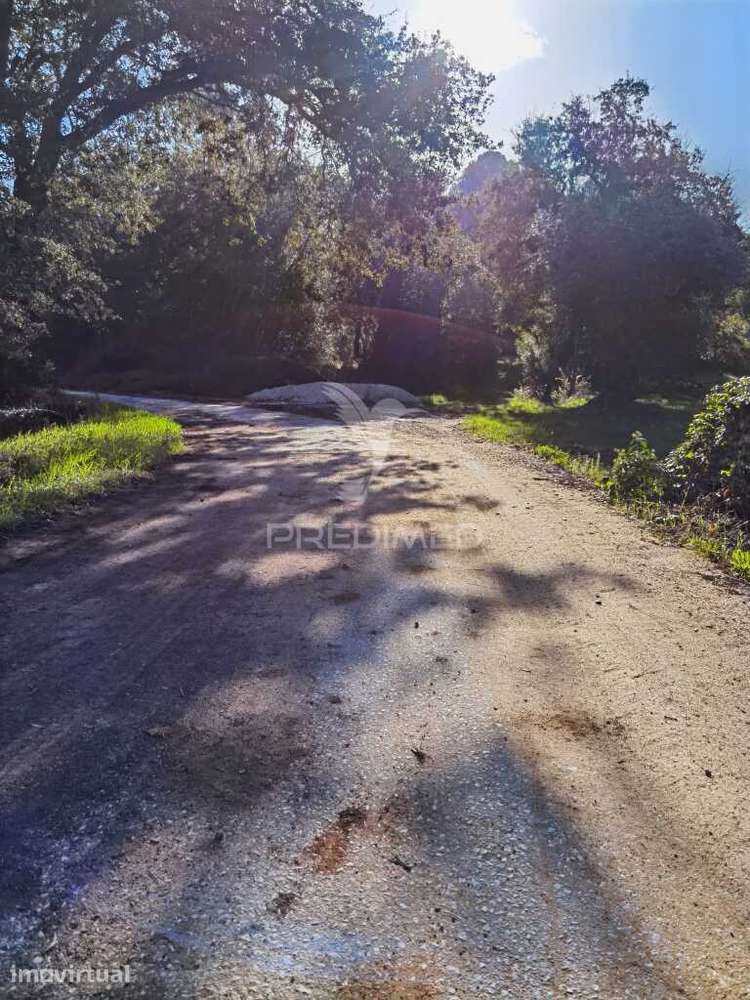 Terreno Rústico de 9.680 m² em Arneiro das Milhariças - Grande imagem: 4/25