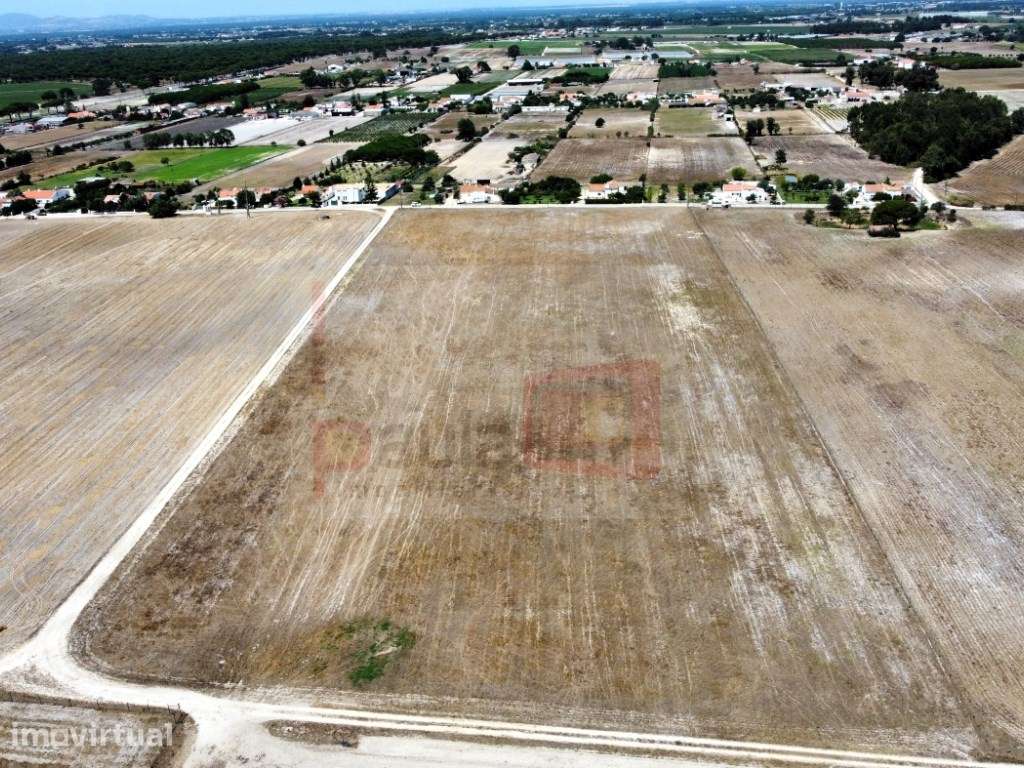 TERRENO 3.7HA - SANTO ISIDRO DE PEGÕES - Grande imagem: 3/3