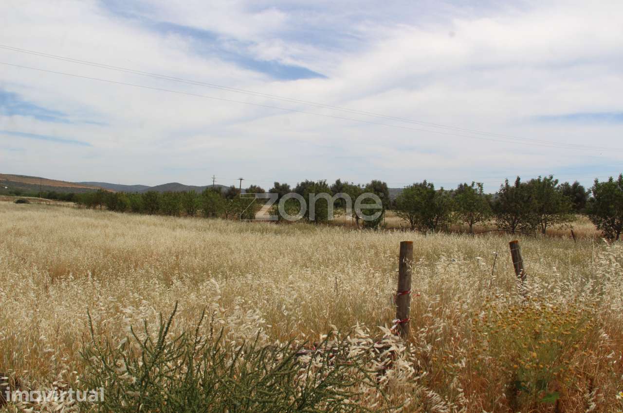 Terreno rústico com uma área generosa de 3 Hectares totalmente plan... - Grande imagem: 5/15