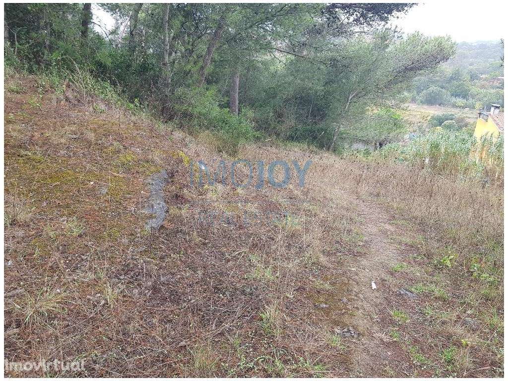 Terreno com PIP Aprovado para Lar de Idosos - Grande imagem: 4/12