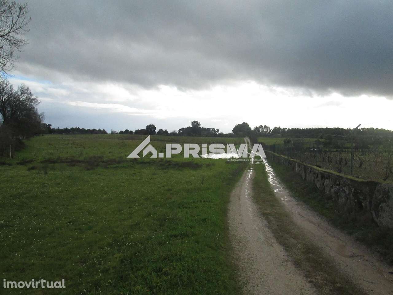Terreno Rústico à Venda na Lardosa - Grande imagem: 2/38