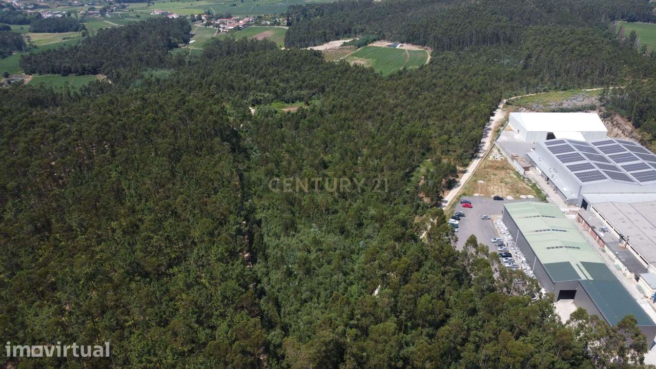 Terreno Industrial com 40.445 m² e PIP Aprovado - Grande imagem: 4/11