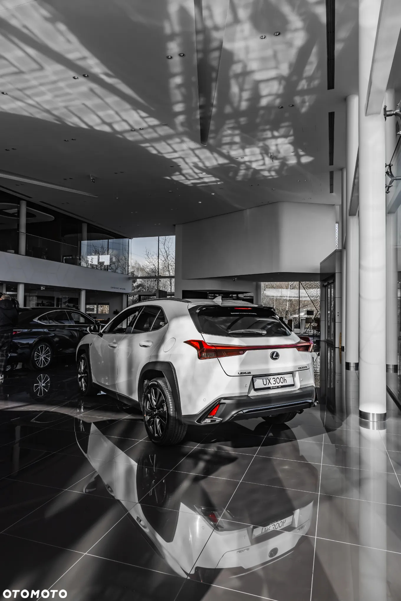 Lexus UX 300h F Sport Design AWD - 8