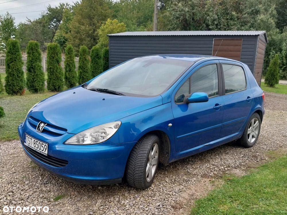 Peugeot 307 - 6