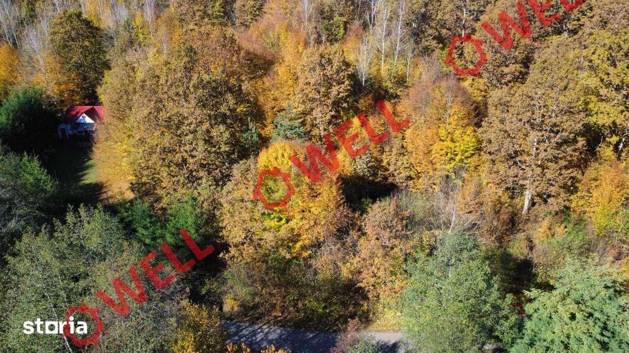 De vânzare teren extravilan în Bodvaj - Imagine principală: 3/4