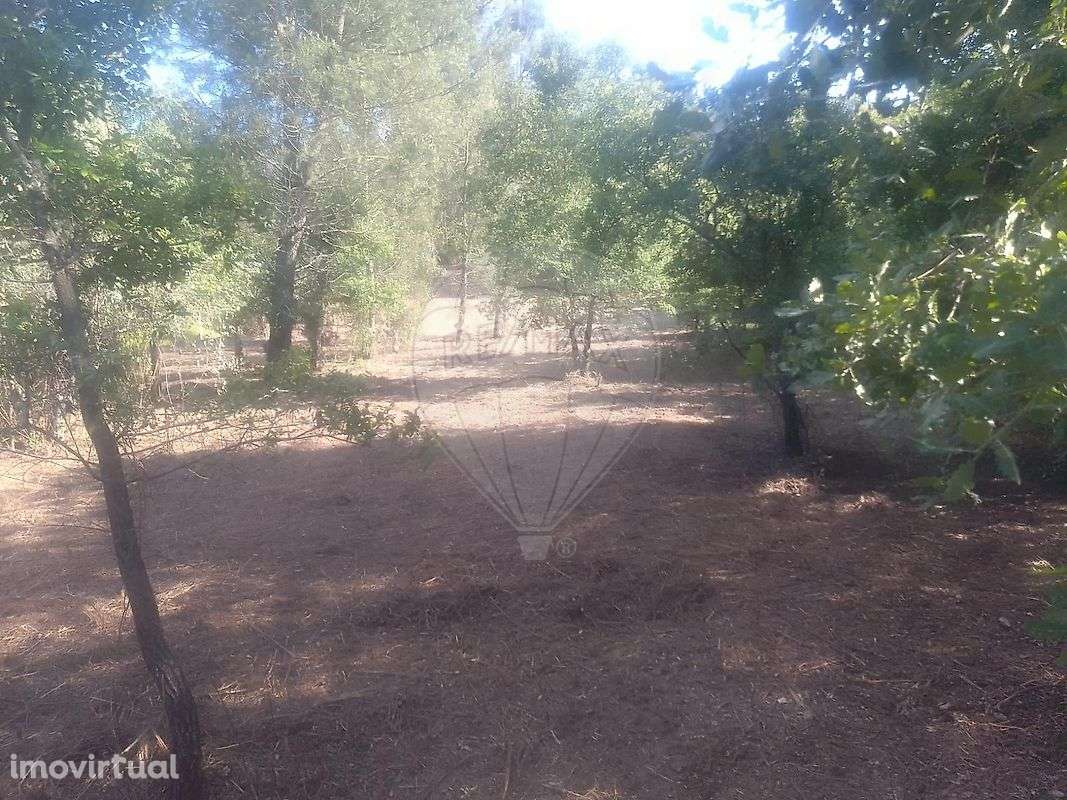 Terreno  para venda - Grande imagem: 3/5