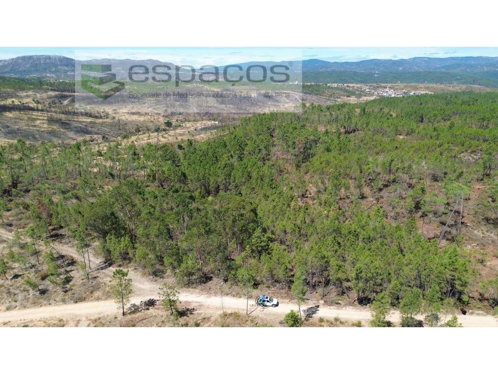 Terreno - Grande imagem: 2/9