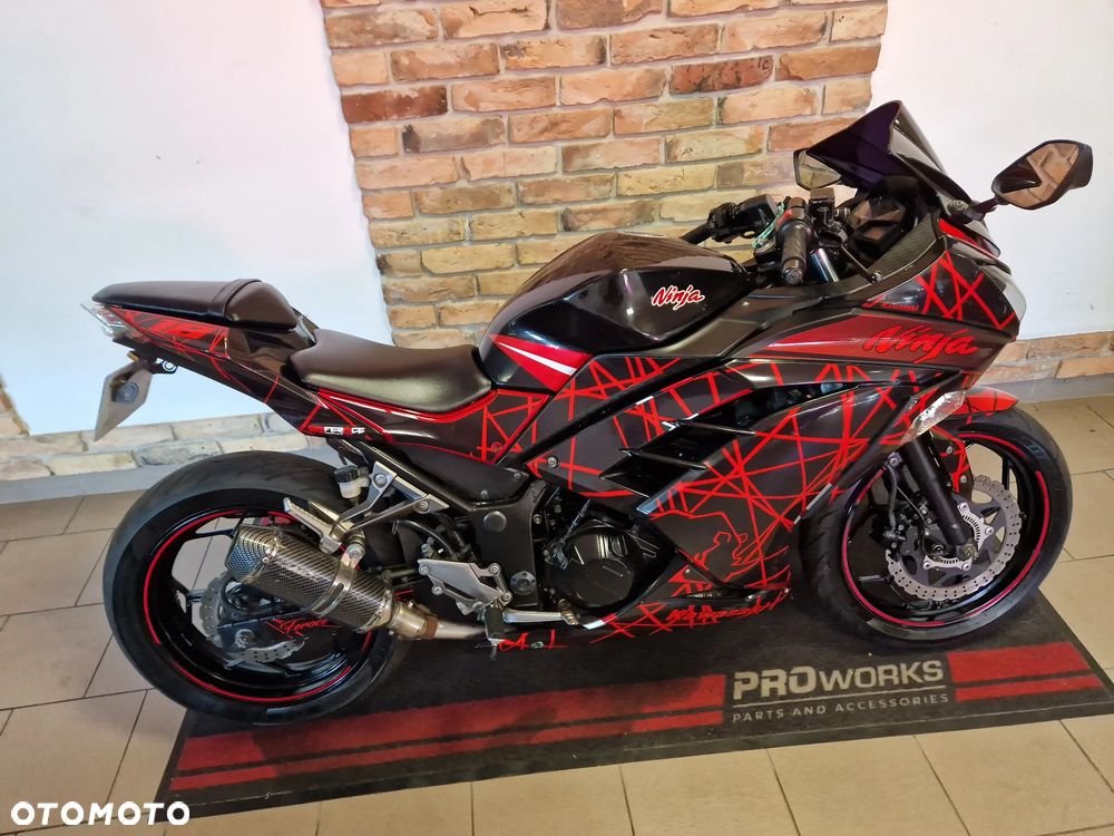 Kawasaki Ninja 300 ABS - 2