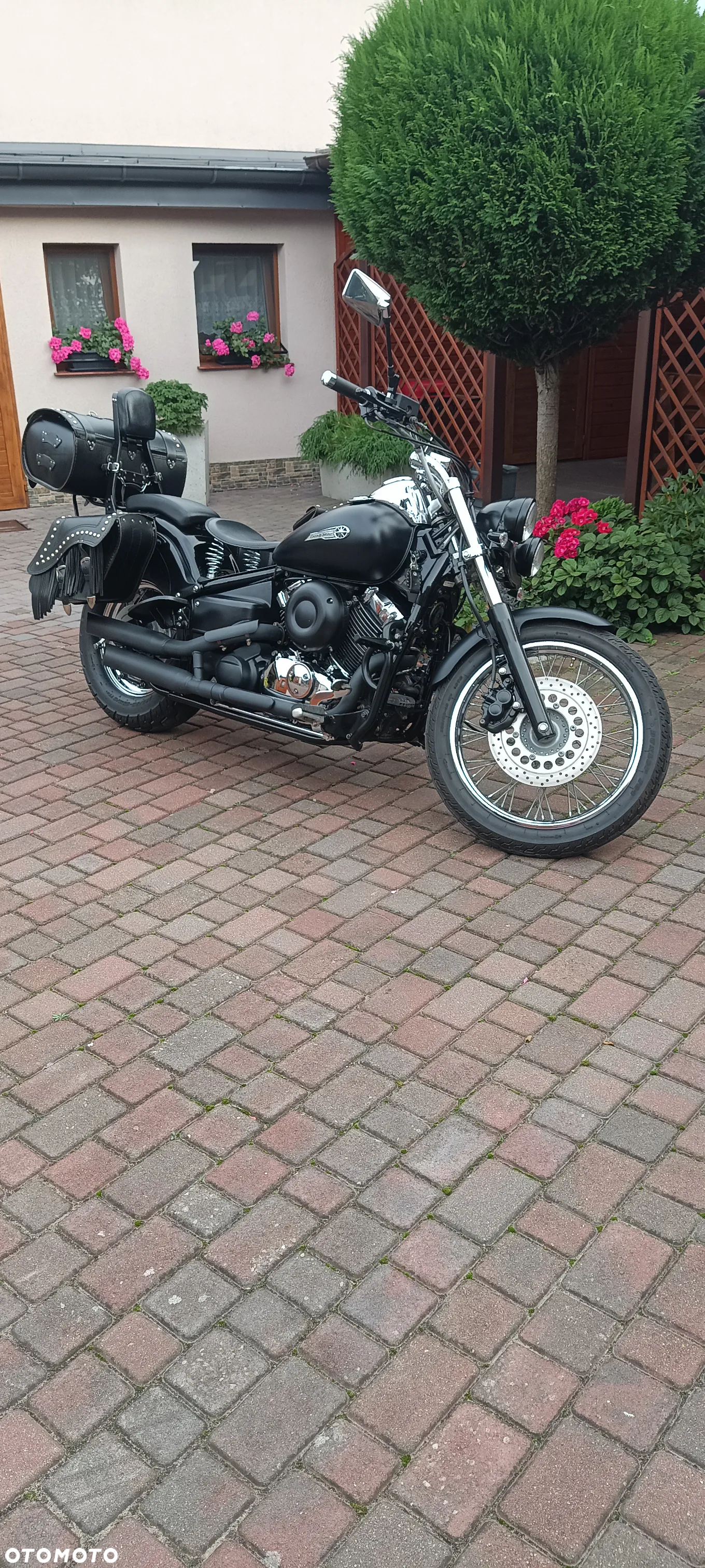 Yamaha Drag Star - 5