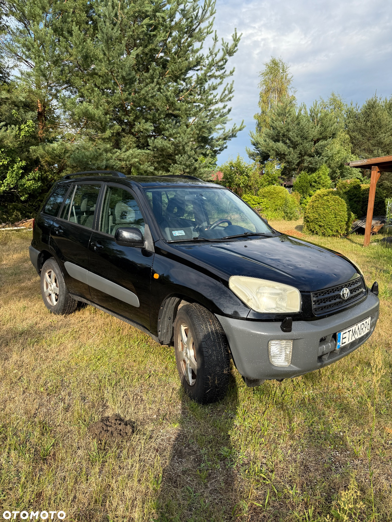 Toyota RAV4 2.0 VVT-i 4x4 - 3