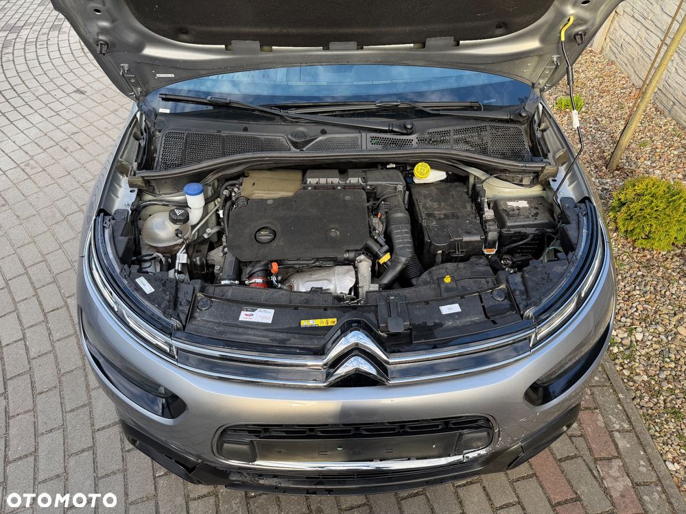 Citroën C4 Cactus - 20