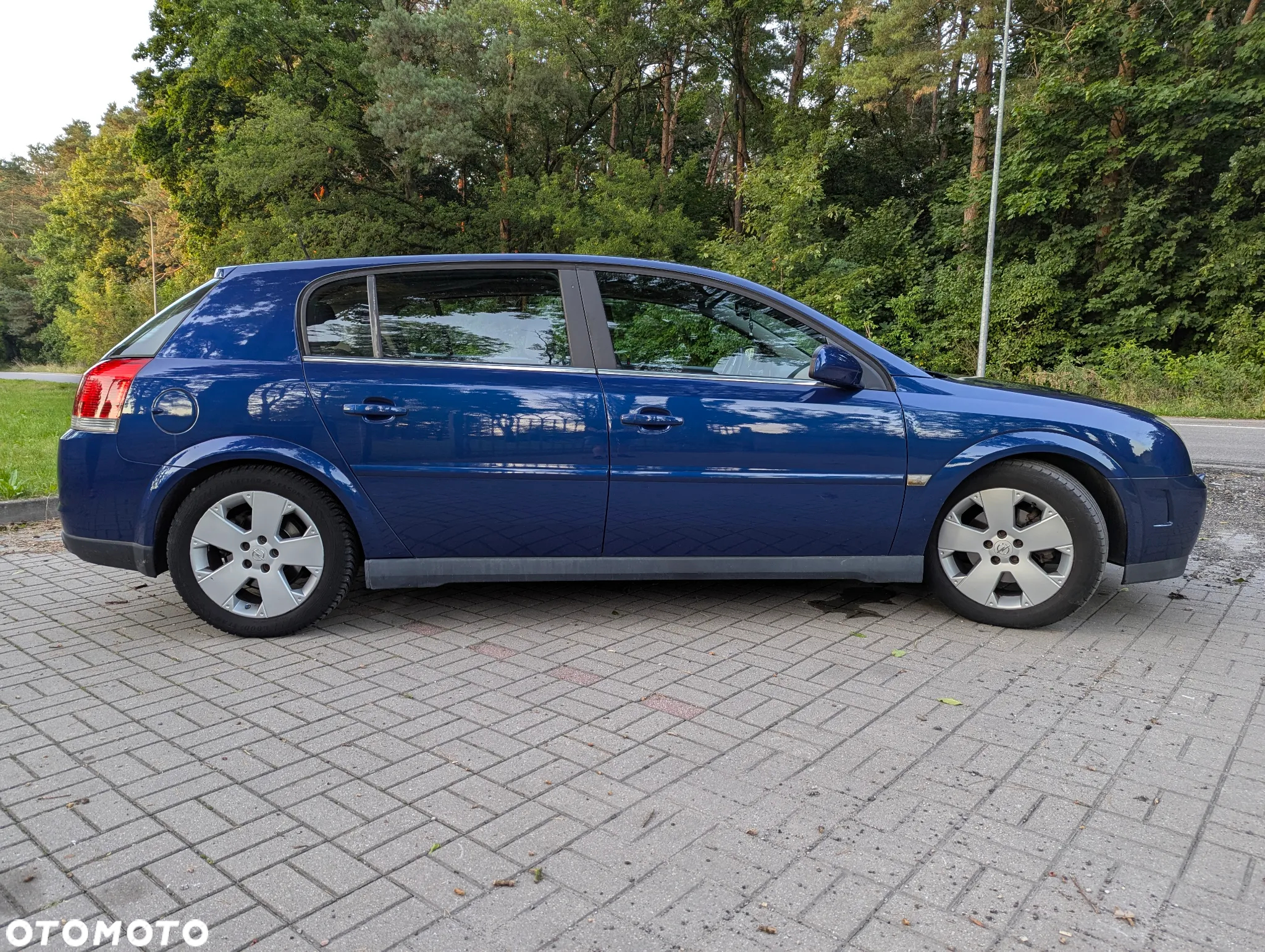 Opel Signum 2.0 Turbo Sport - 7