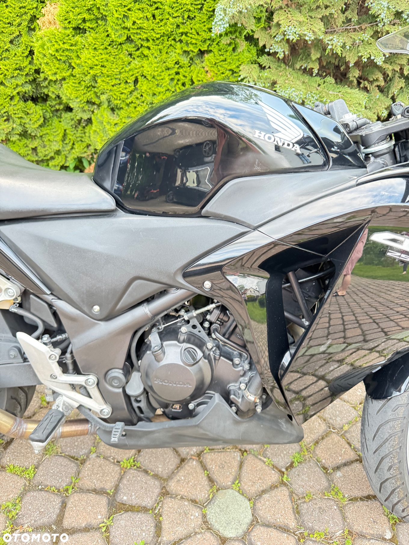 Honda CBR - 6