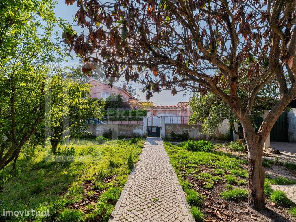 Oportunidade imperdível em Azeitão | Moradia com Jardim e Poço - Grande imagem: 2/25