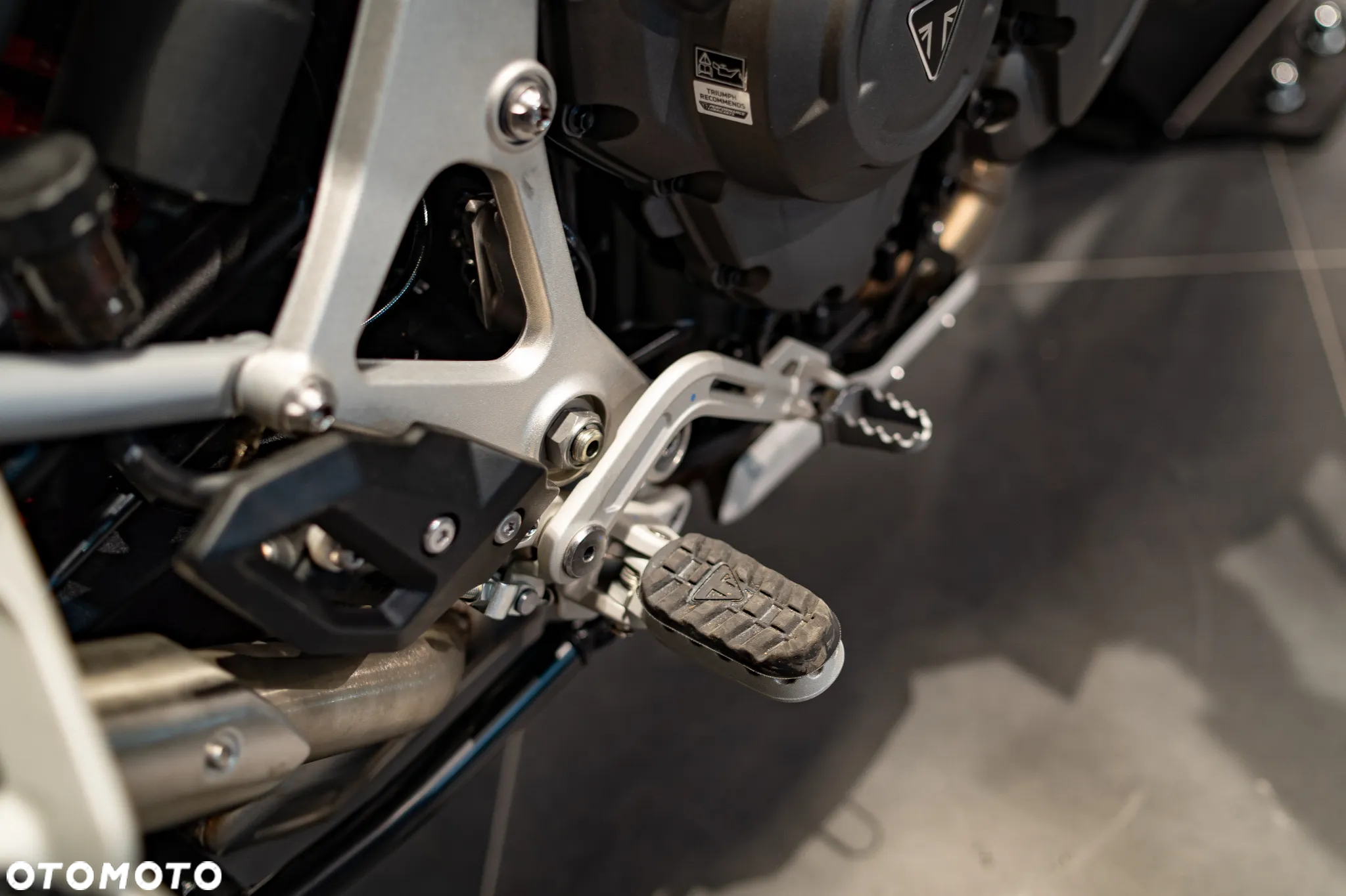 Triumph Tiger - 31