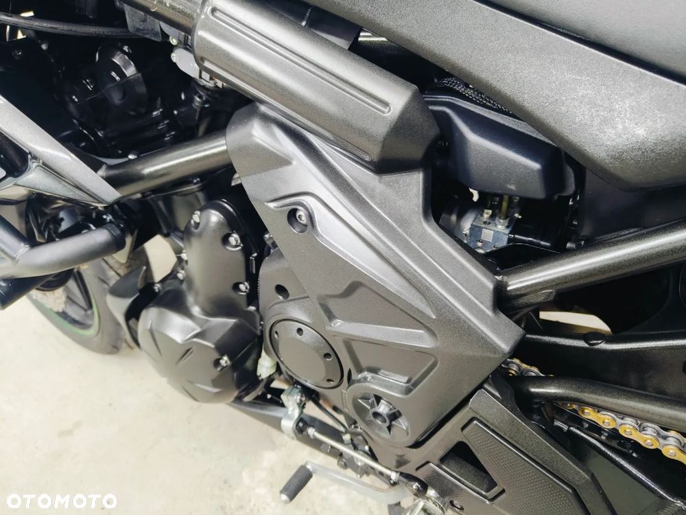 Kawasaki Versys 650 - 25