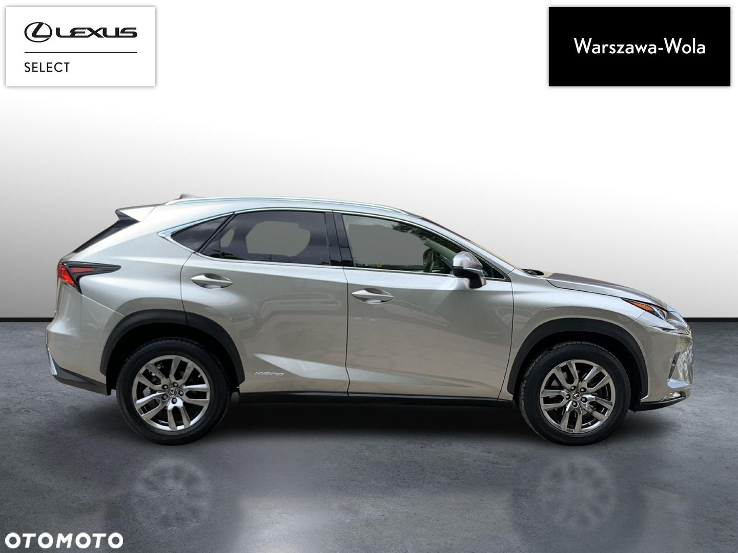 Lexus NX - 8