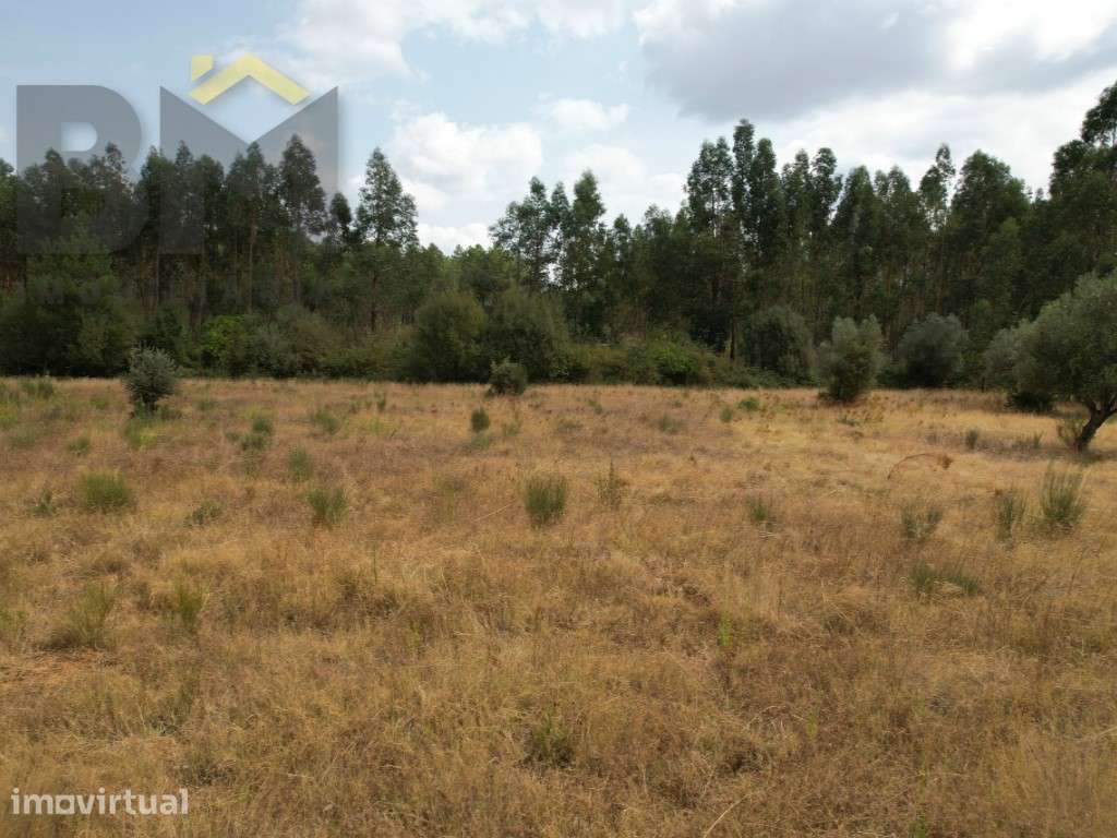 Quinta em Penamacor com 12.000m2 - Grande imagem: 3/5