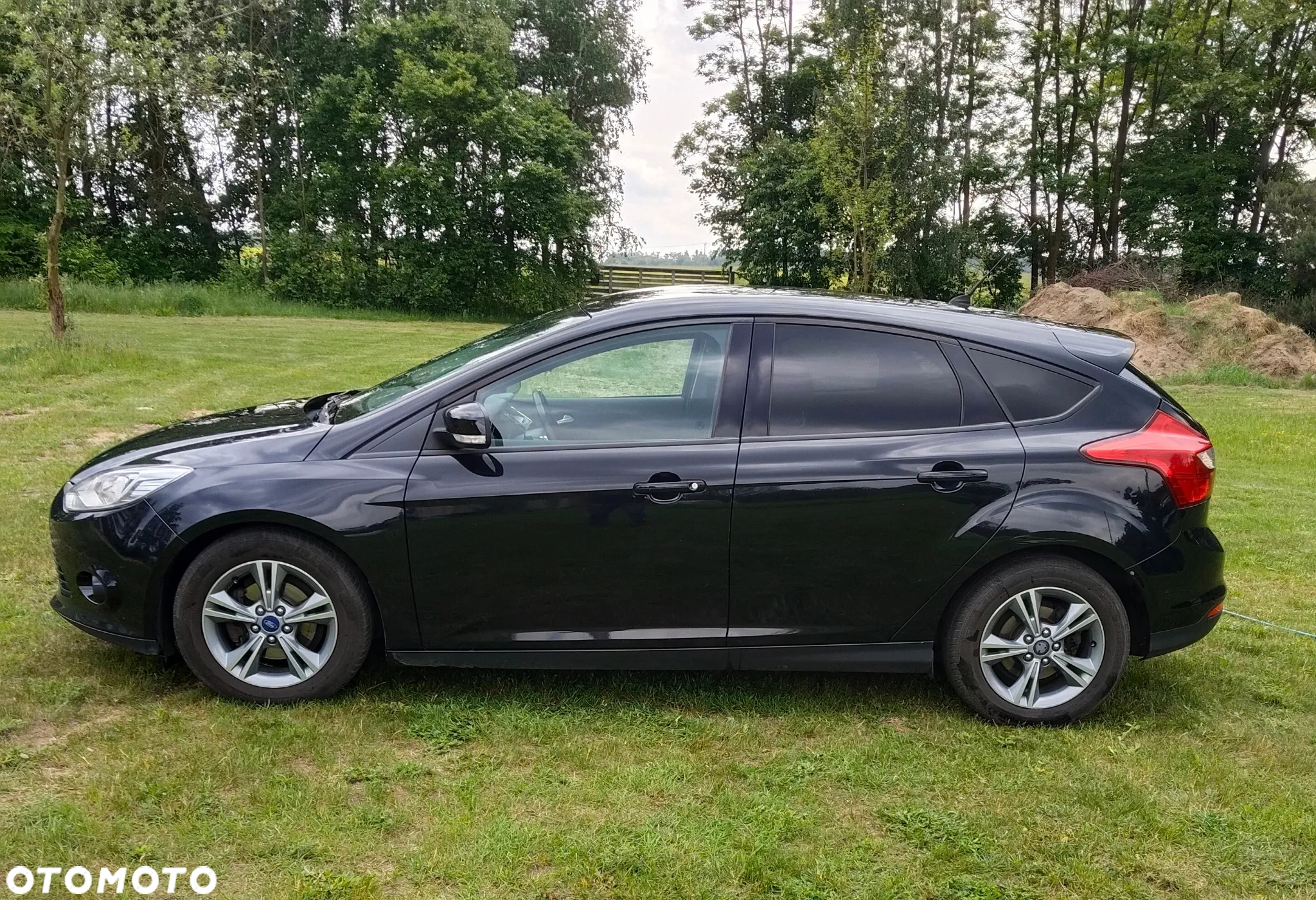 Ford Focus - 3