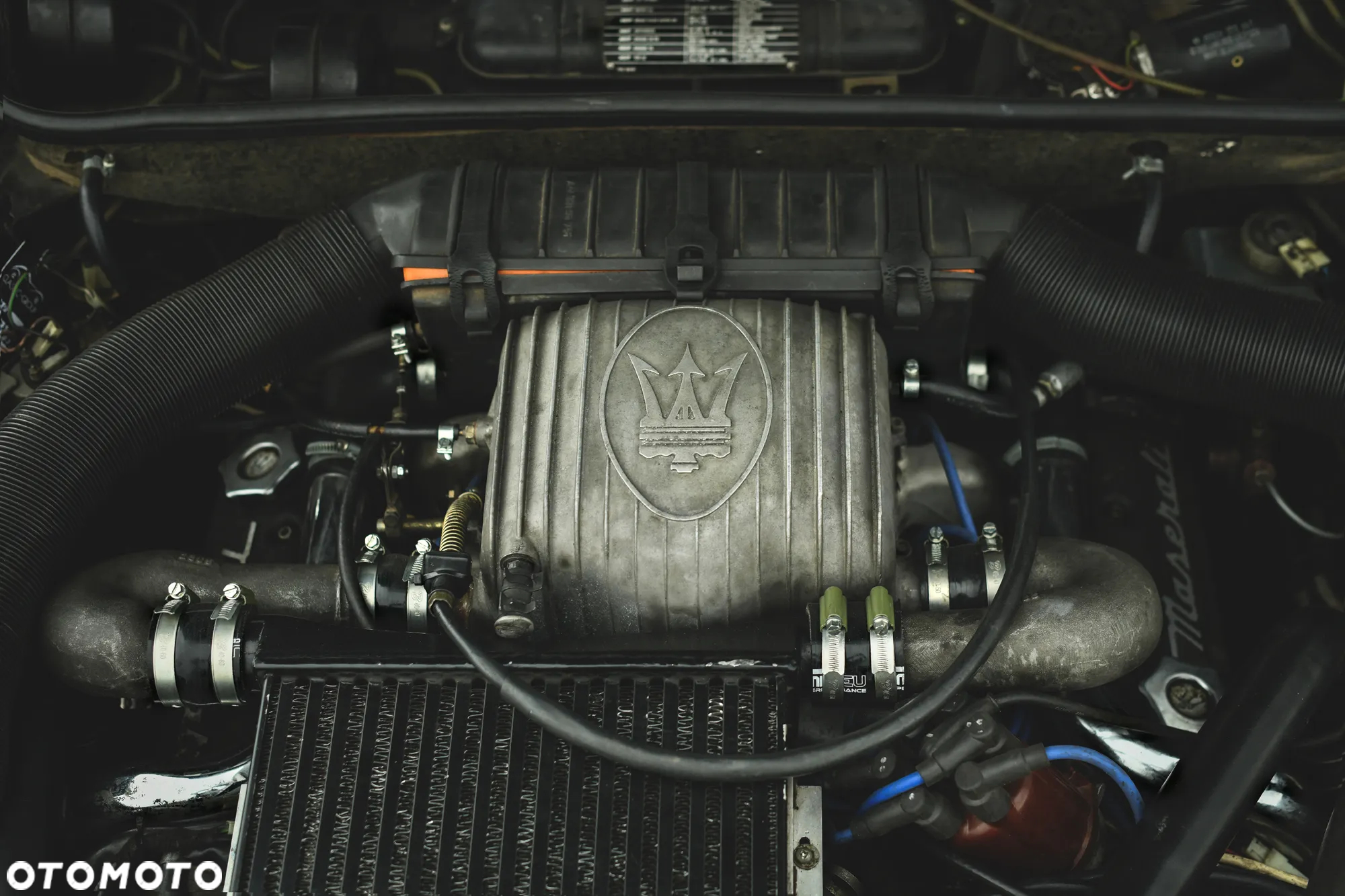 Maserati Biturbo - 30