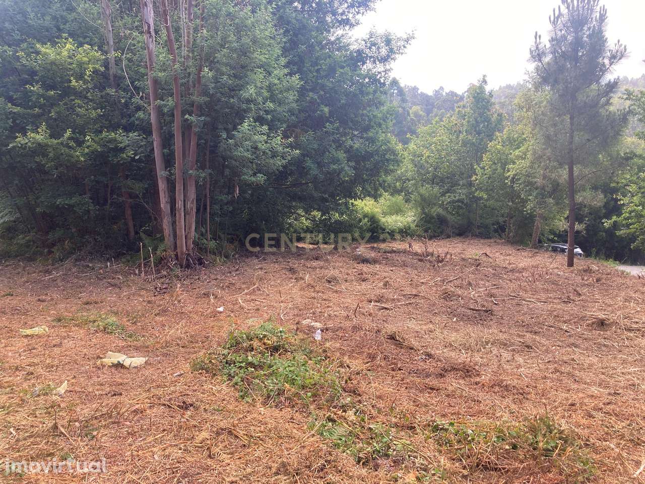 Terreno Rústico à Venda em Oldrões, Penafiel - Grande imagem: 2/24