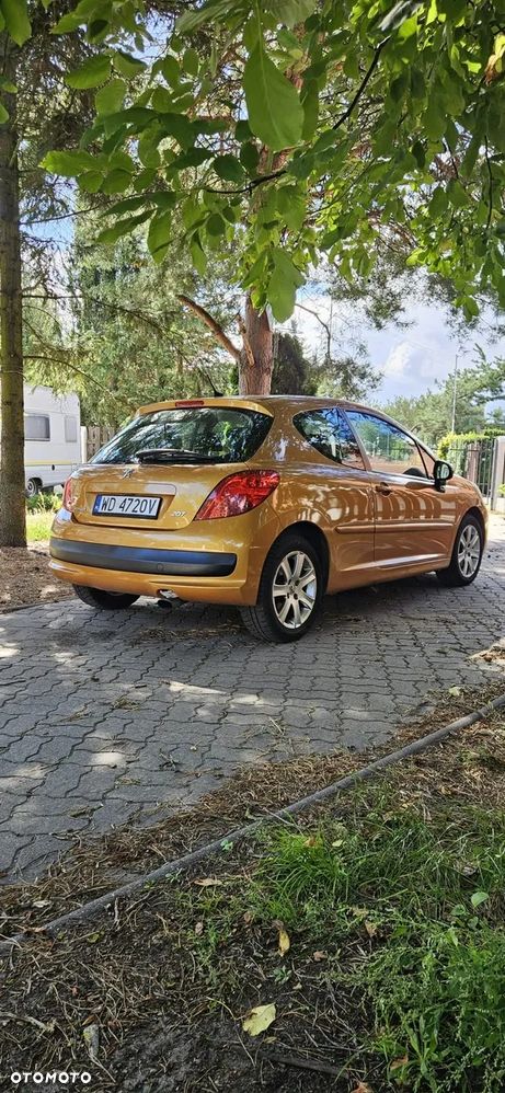 Peugeot 207 - 5