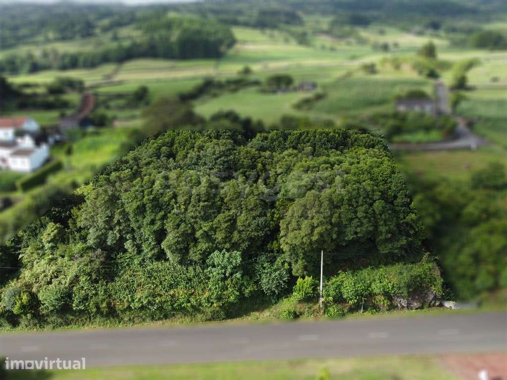Terreno com Vista Mar e Potencial de Construção , Prainha, São Roqu... - Grande imagem: 2/14