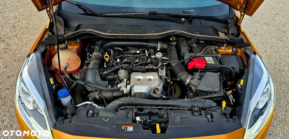 Ford Fiesta - 21
