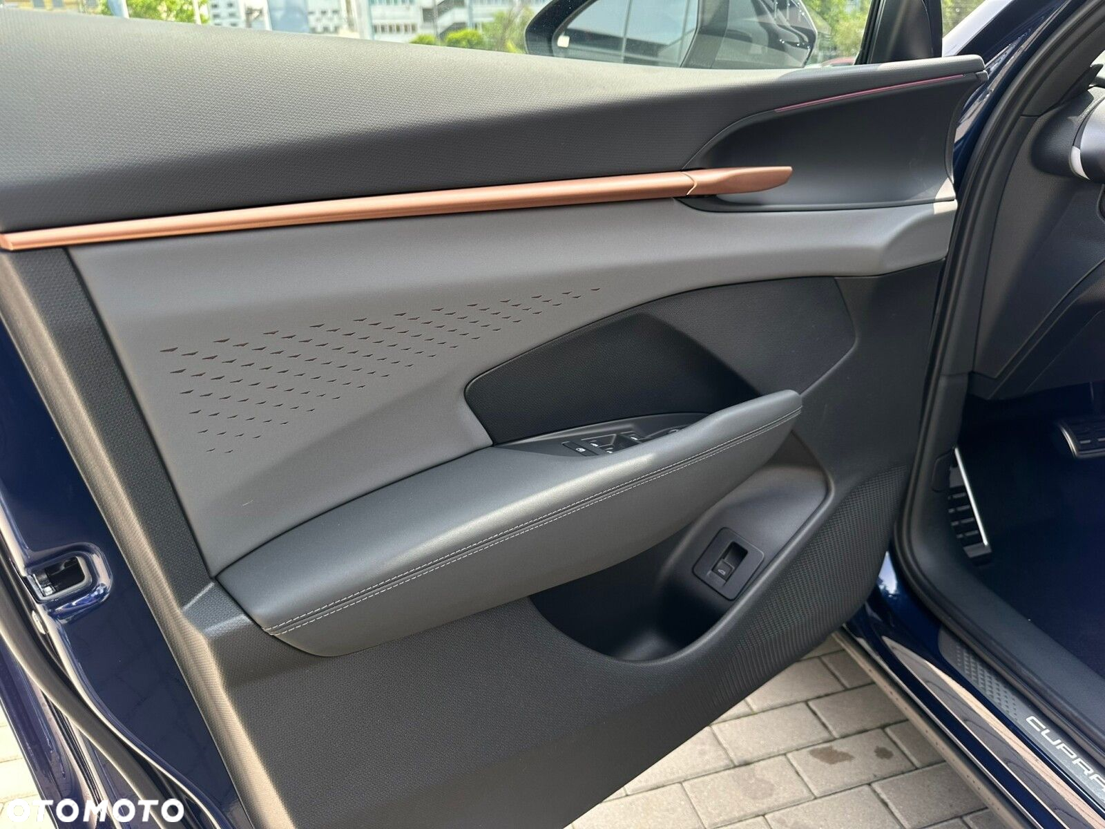 Cupra Terramar - 14