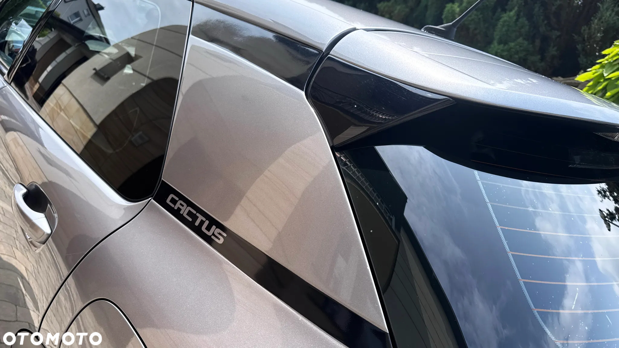 Citroën C4 Cactus - 19