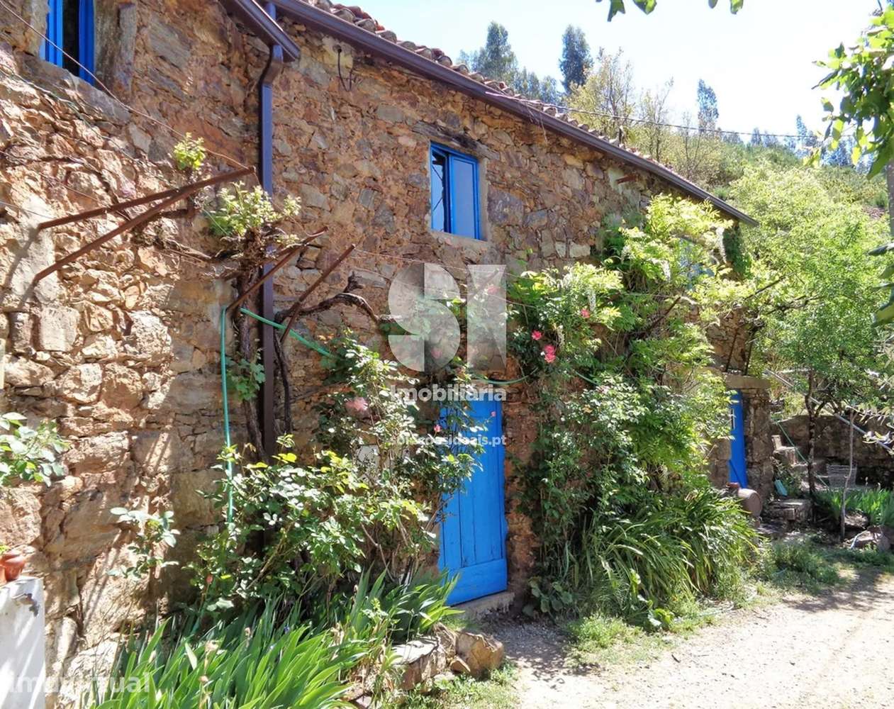 Quinta >=T10 / Figueiró dos Vinhos - Grande imagem: 2/16