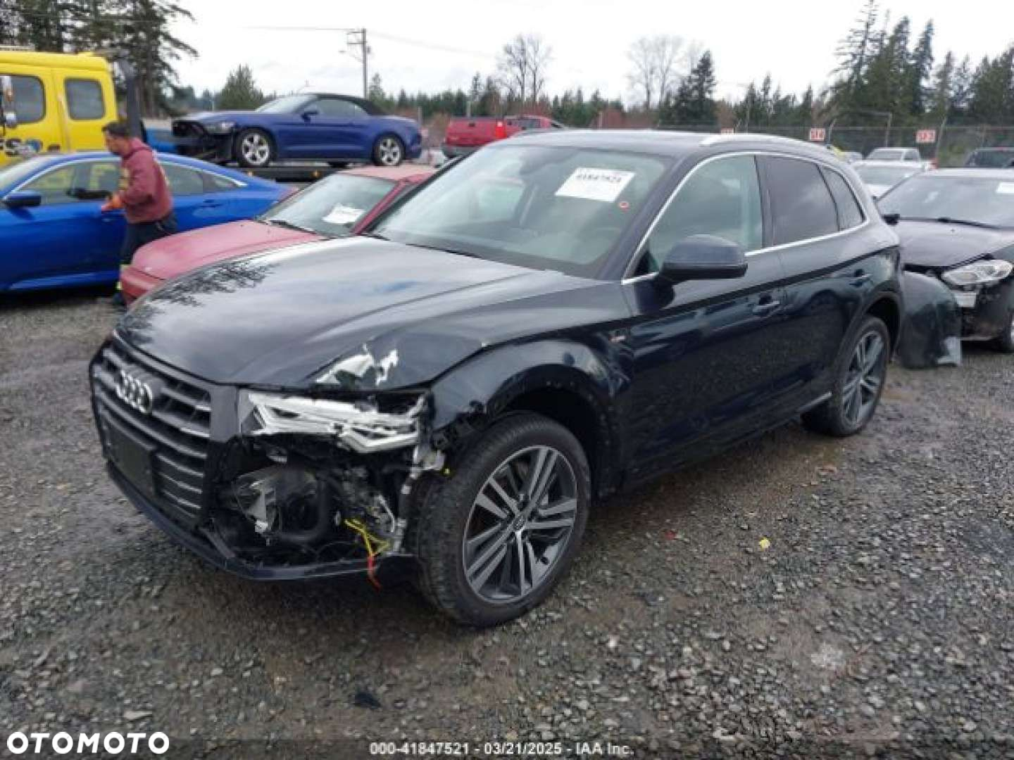Audi Q5 - 2