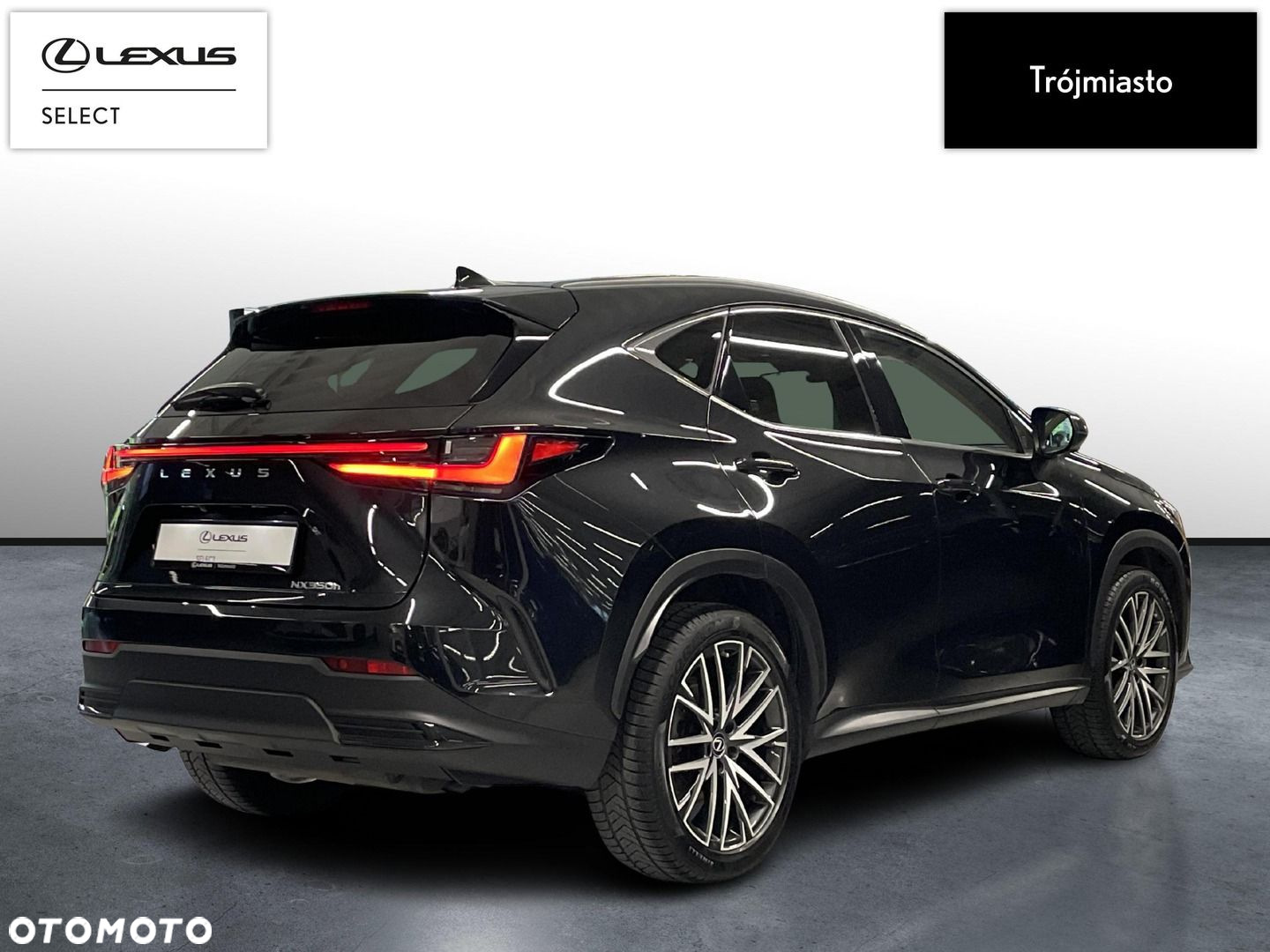 Lexus NX - 6