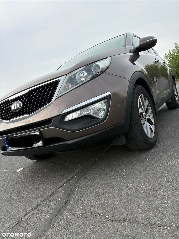 Kia Sportage - 3