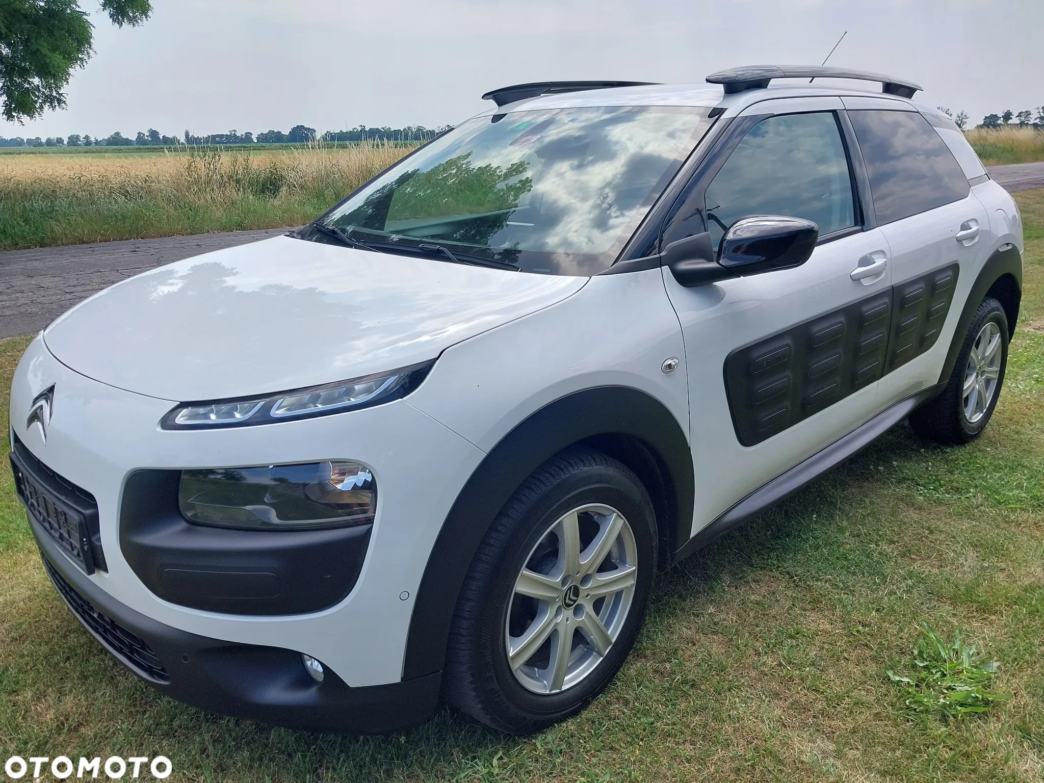 Citroën C4 Cactus BlueHDi 100 ETG6 Stop&Start Shine - 5