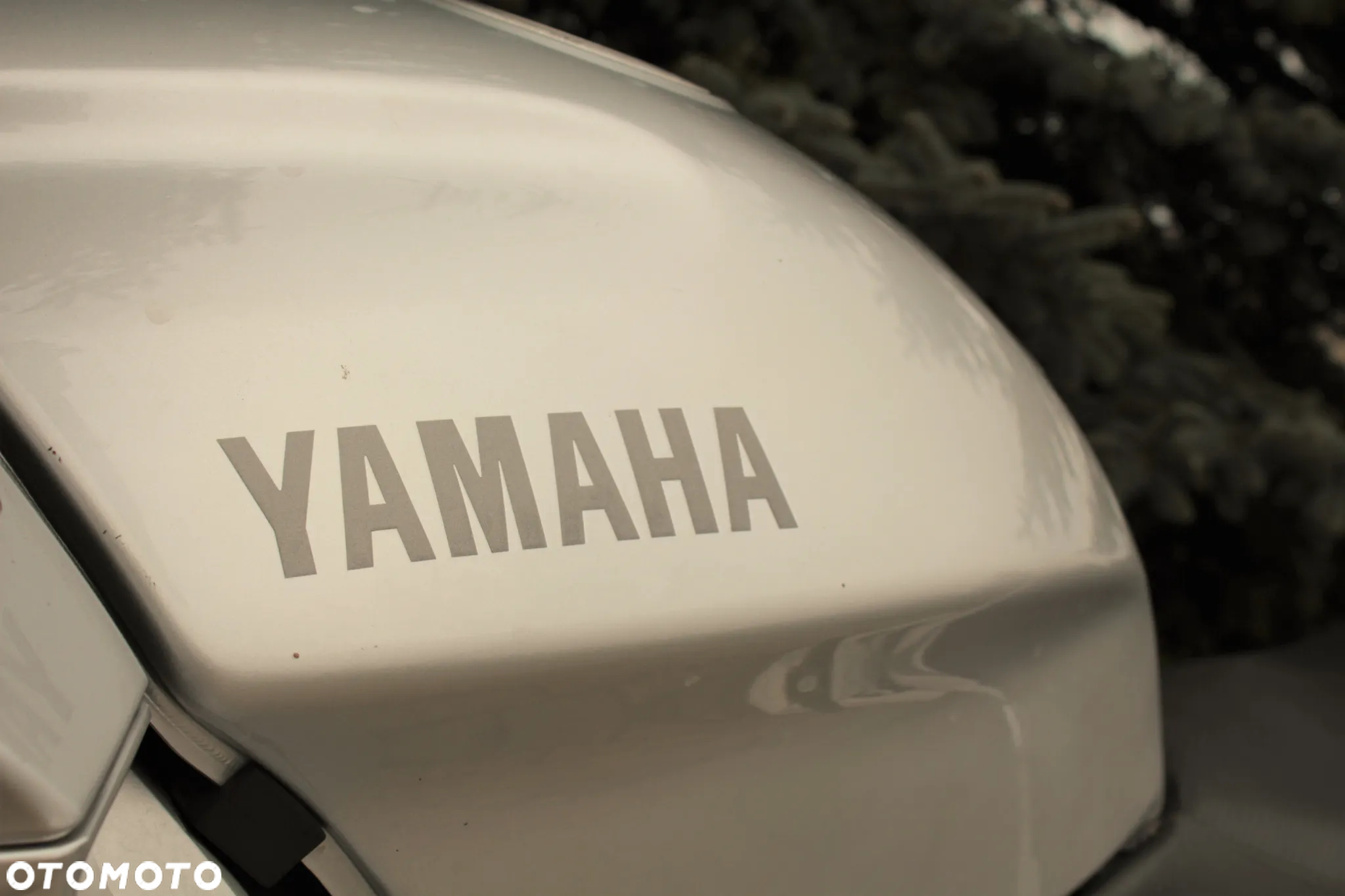 Yamaha FJR - 19