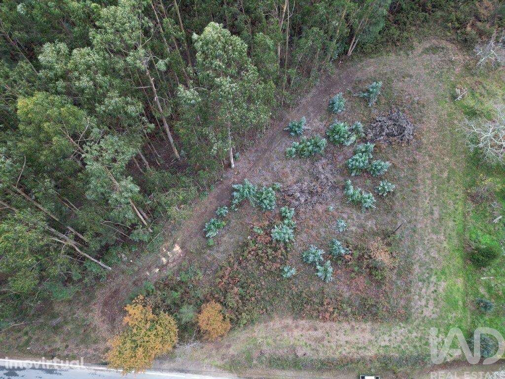 Terreno para construção em Cornes - Grande imagem: 2/4