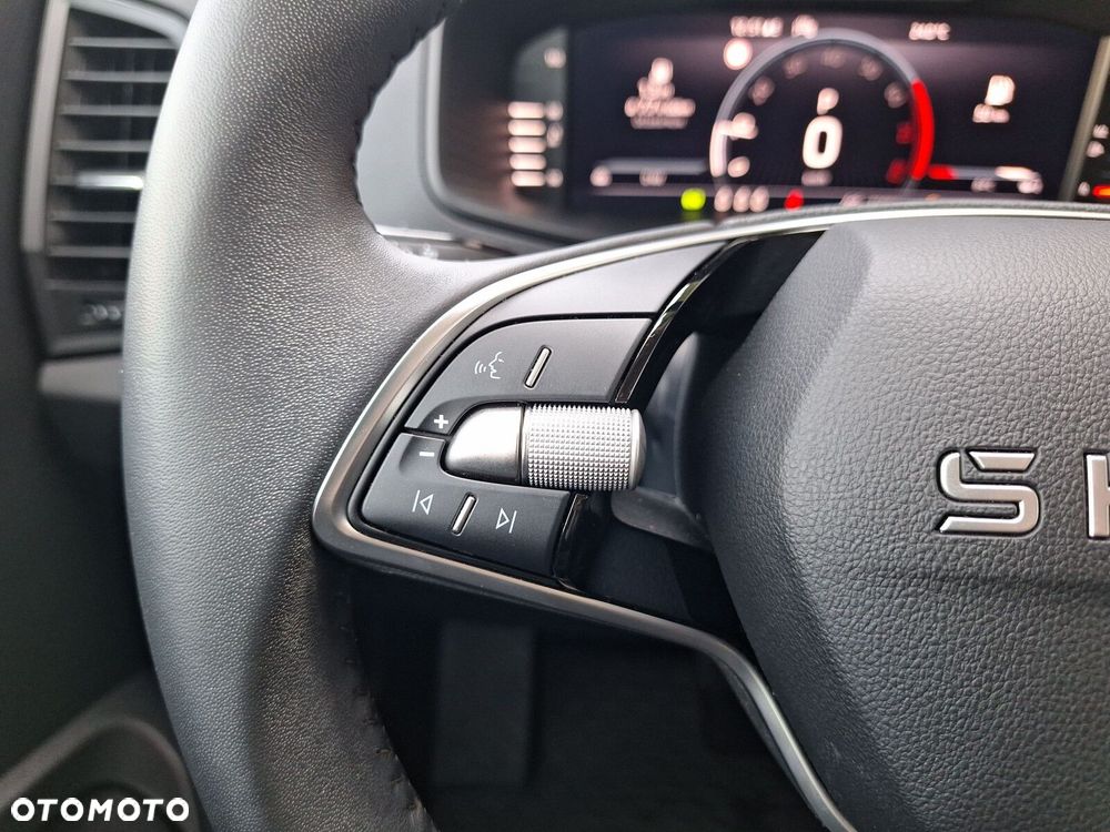 Skoda Karoq 1.5 TSI ACT Selection DSG - 19