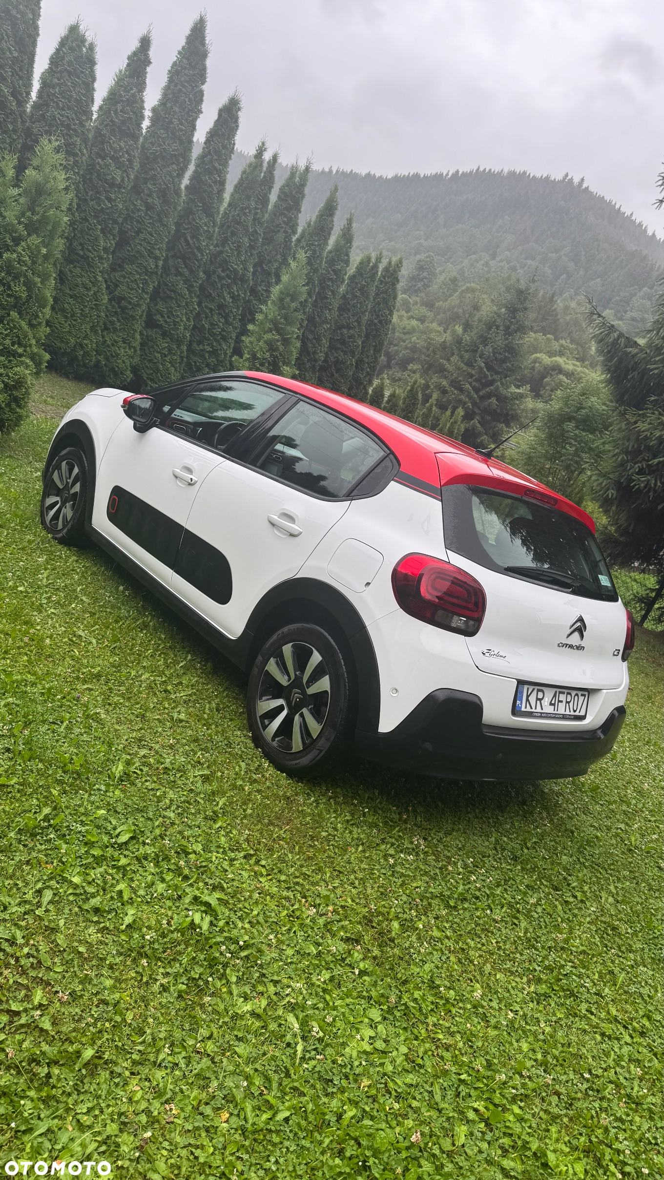 Citroën C3 1.2 PureTech Shine S&S - 10