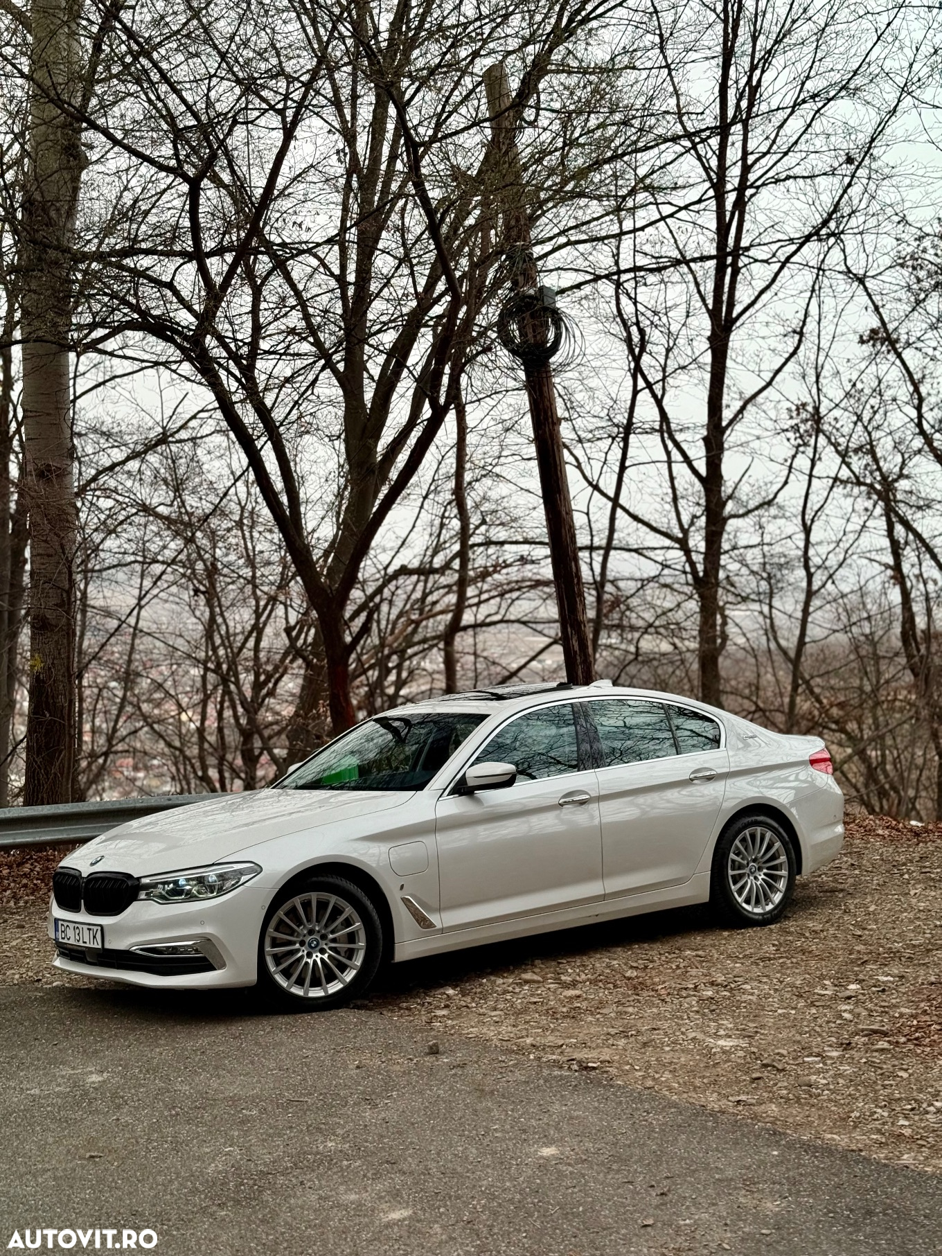 BMW Seria 5 530e Aut. Luxury Line - 10