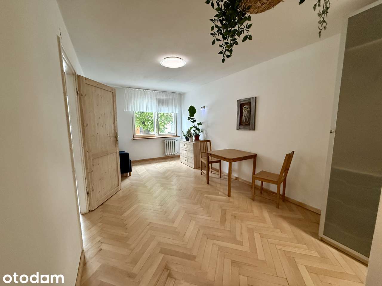 2 pokoje w centrum Wrocławia | wysoki parter | Pereca